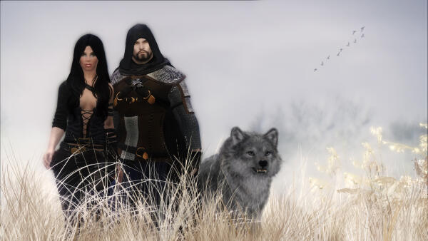 The Witcher