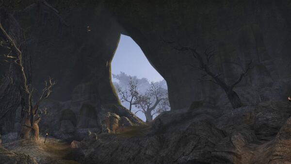 Valenwood