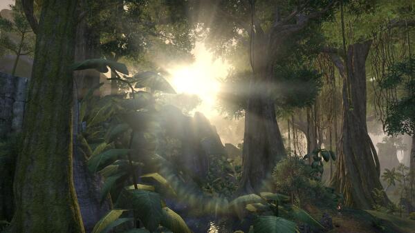 Valenwood