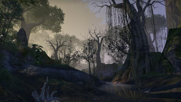 Valenwood