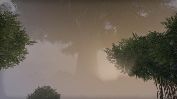 Elden Root