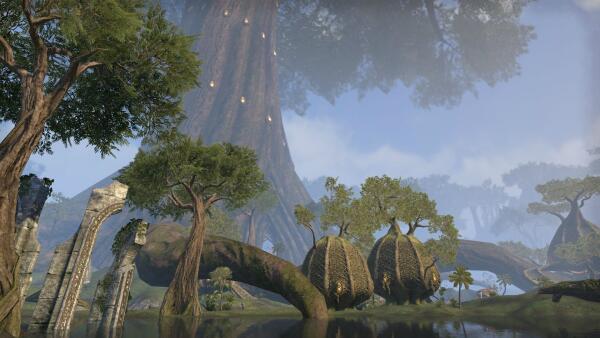 Valenwood