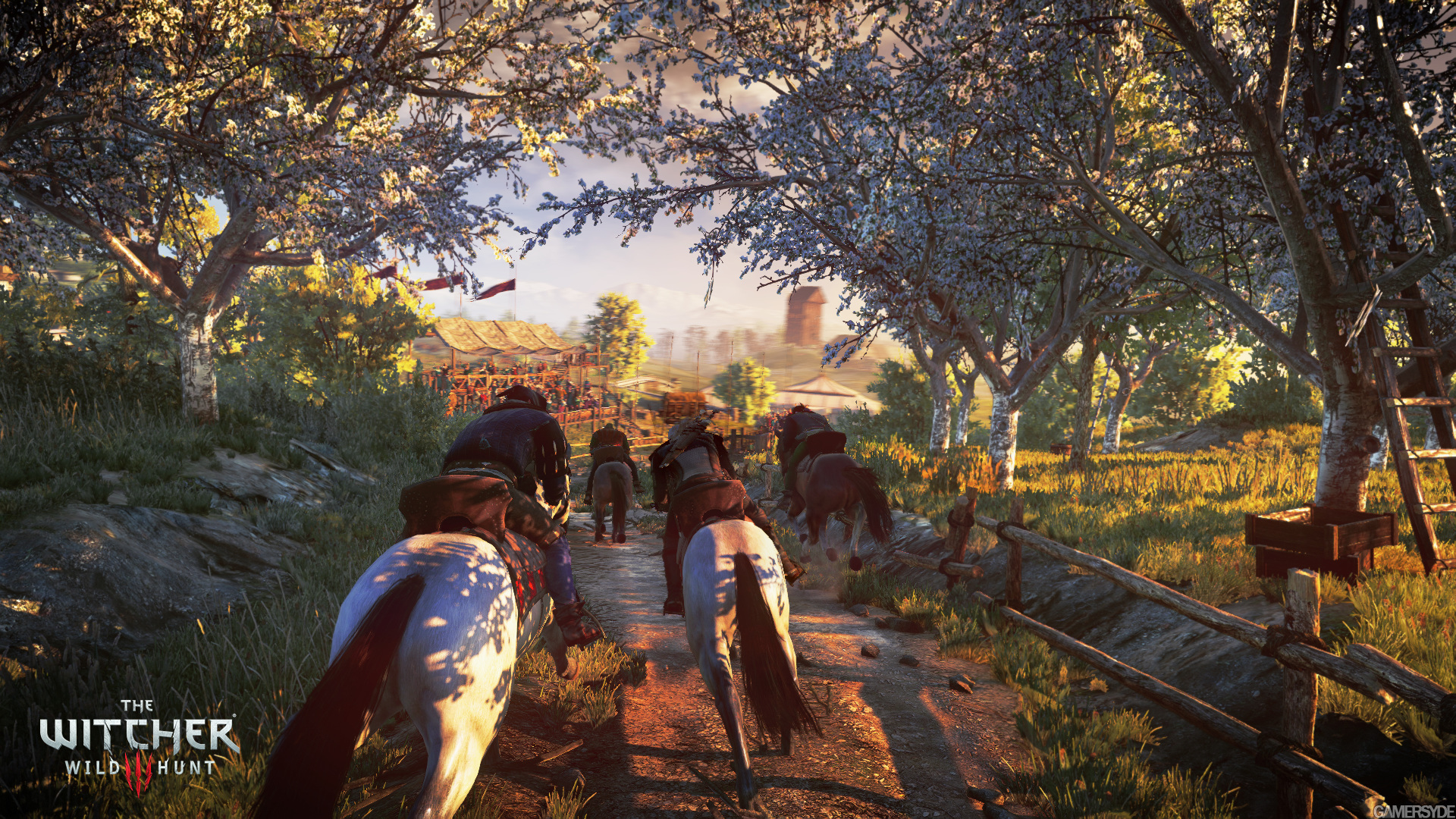 75868_f4ufpbijmj_image_the_witcher_3_wild_hunt_25.jpg