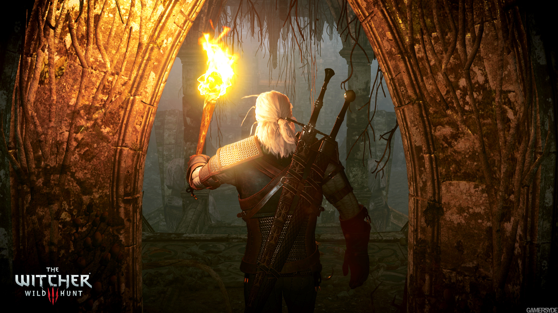 75870_48xkw2xeox_image_the_witcher_3_wild_hunt_25.jpg