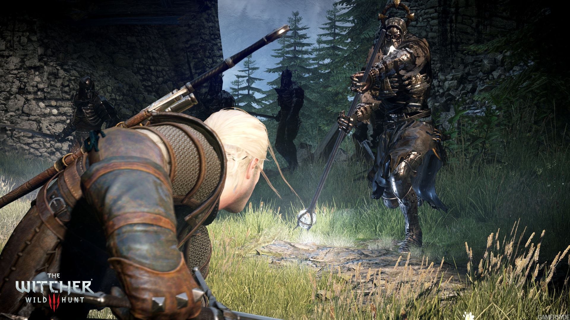 75872_r8uc7wv4dt_image_the_witcher_3_wild_hunt_25.jpg