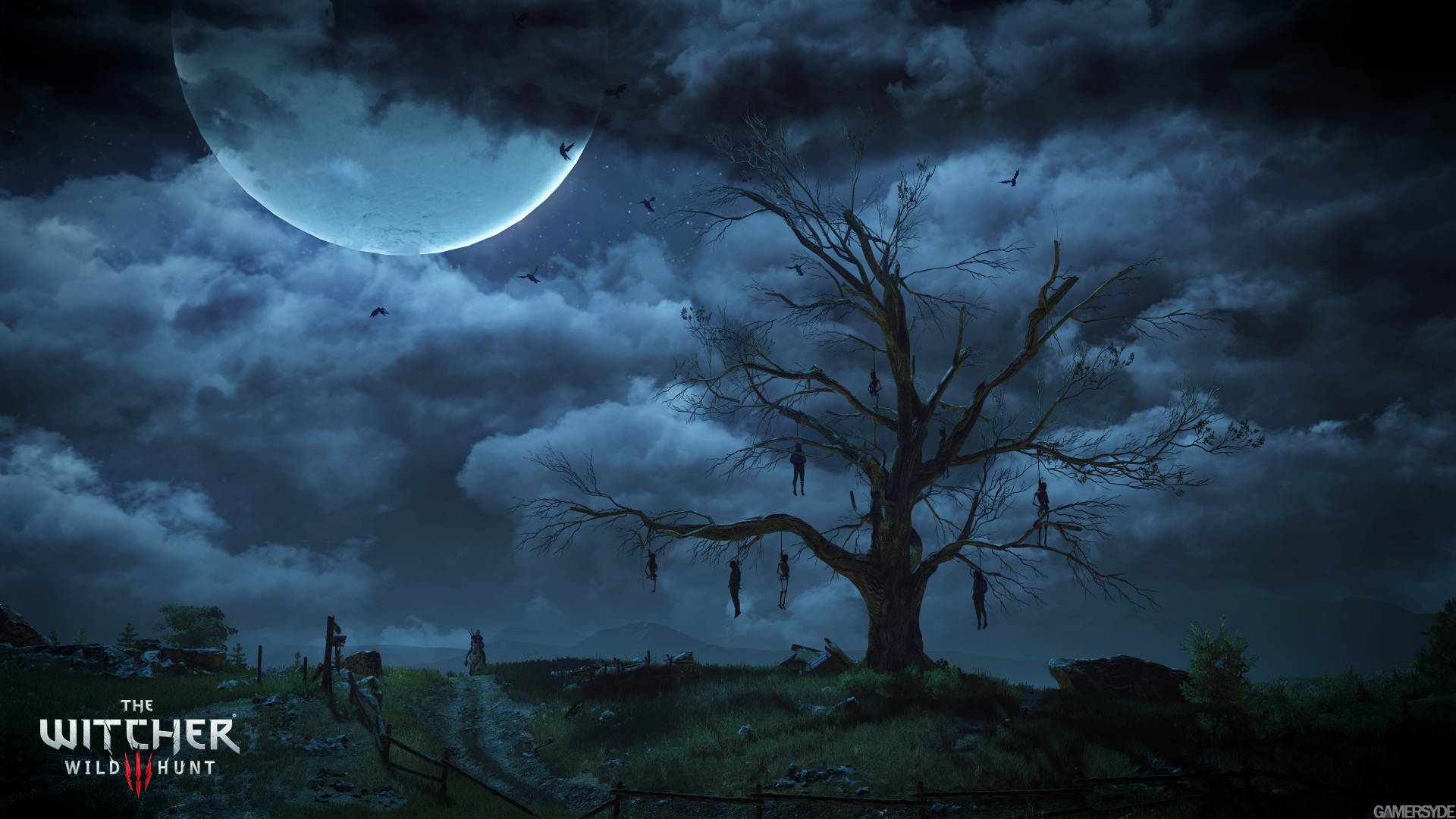 75873_lldbhqv7gc_image_the_witcher_3_wild_hunt_25.jpg