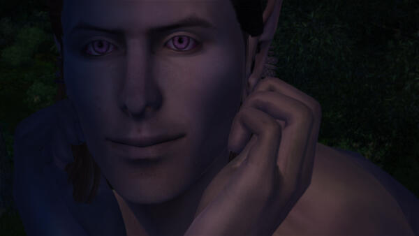 TD_Morrowind Elves
