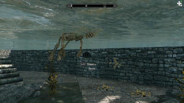 ScreenShot12