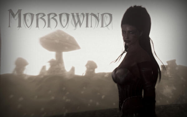 Skyrim с привкусом Morrowind