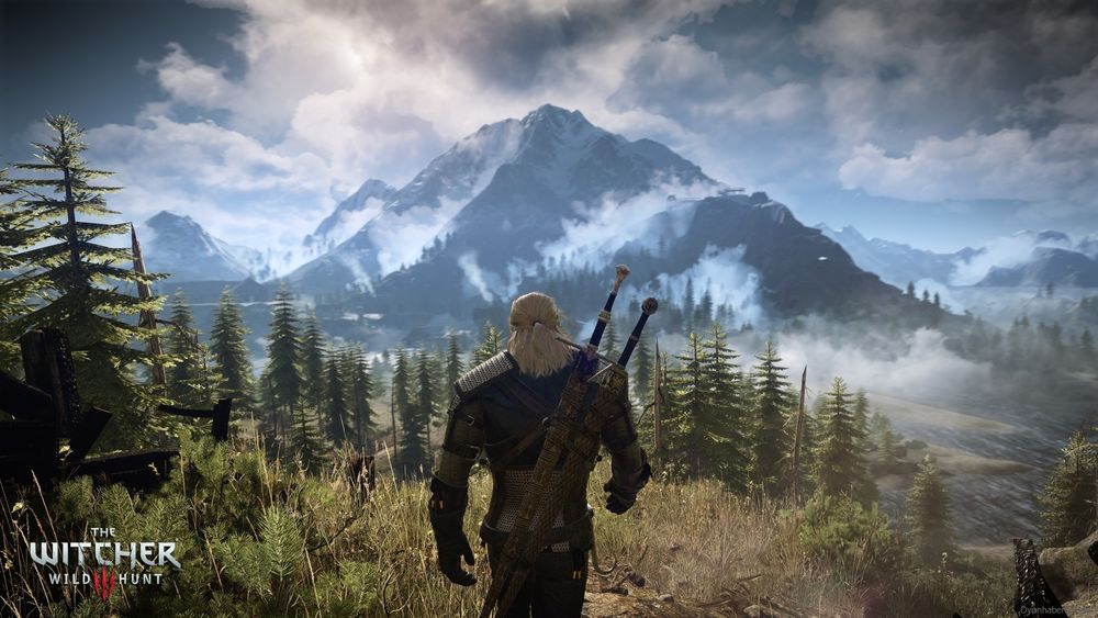 the-witcher-3-wild-hunt-26.jpg