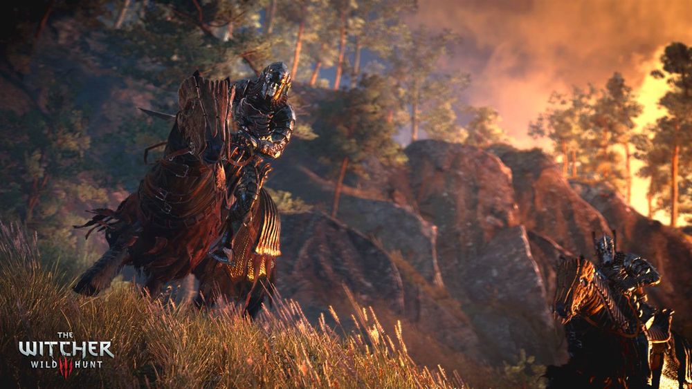 the_witcher_3_wild_hunt_soldiers_of_the_wild_hunt.jpg