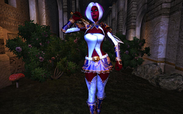 Blueness Lion Armor 01