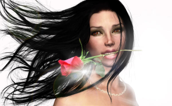 Wild Rose