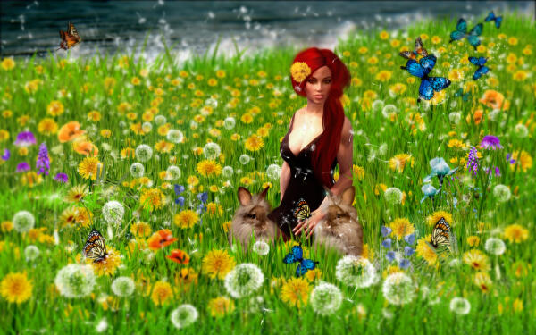 Amanda in Wonderland