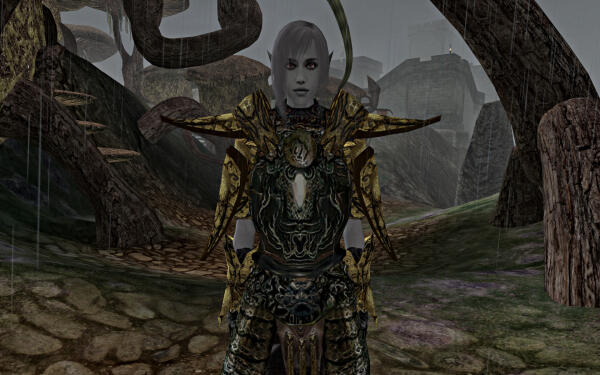 Dunmer
