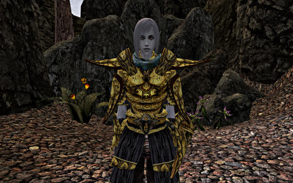 Indoril Armor