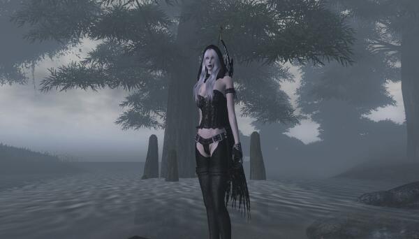 Dark huntress