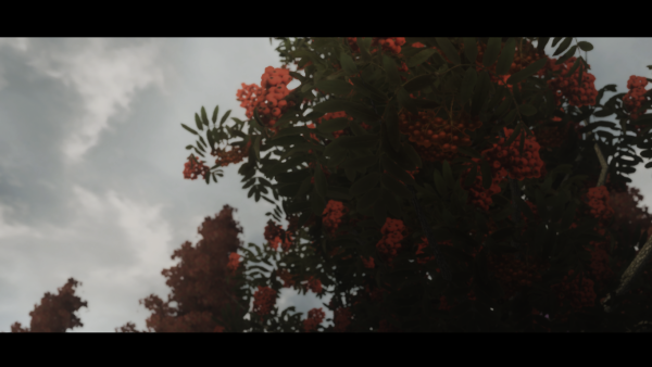 Oblivion 2014 08 18 14 52 55 85