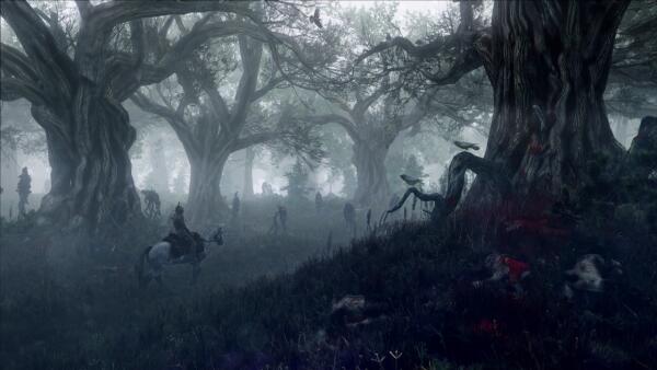 Forest