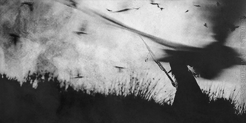tumblr_n18u3j8kIM1qzi1t3o1_500.gif