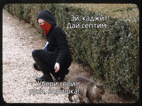 Каджит ну поделись