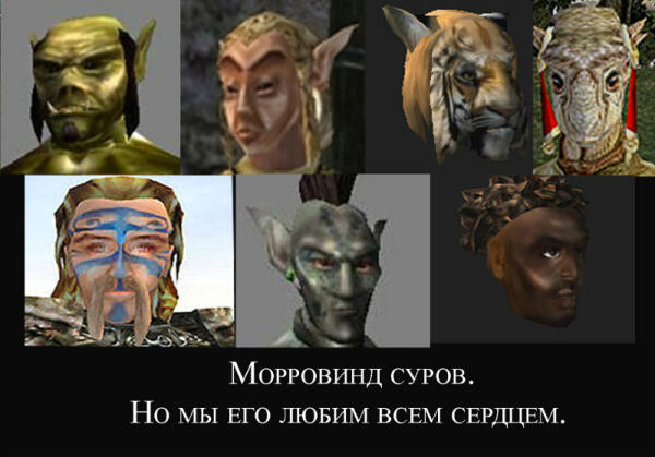 Морровинд