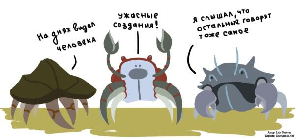 Чем занимаются грязекрабы