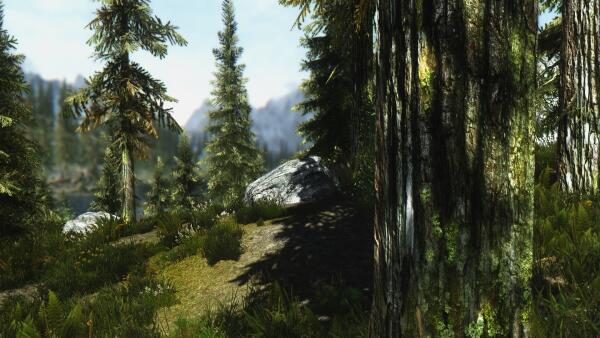 RealVision ENB 3