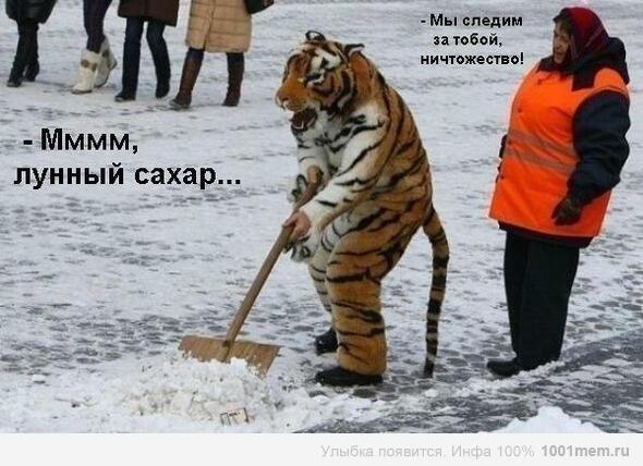 Сахарок...