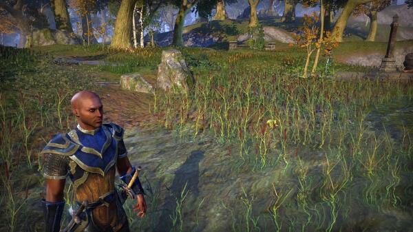 Kamerun. The Templar