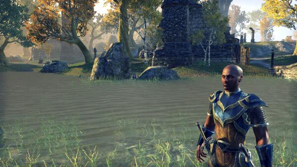Kamerun. The Templar