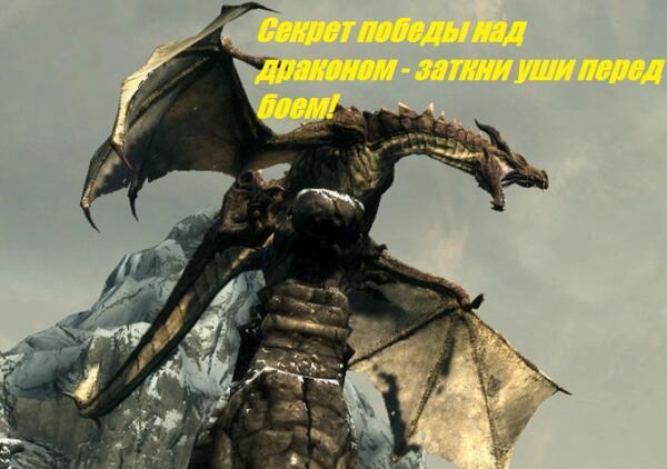 Довакинам на заметку