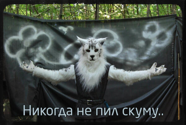 Каджит
