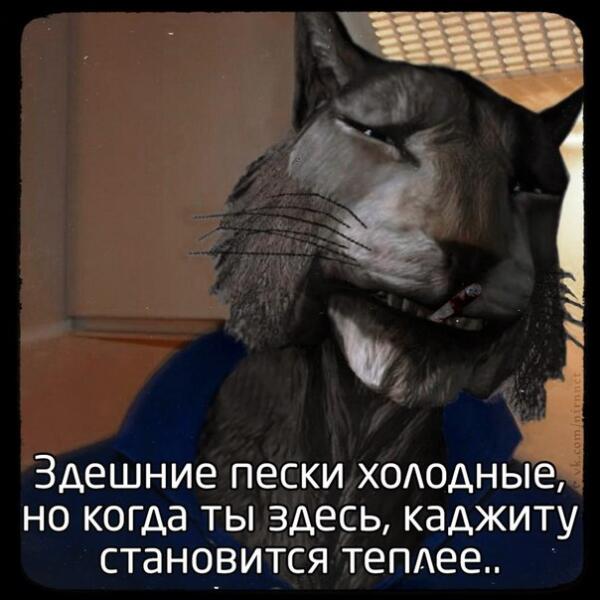 Каджиту приятно