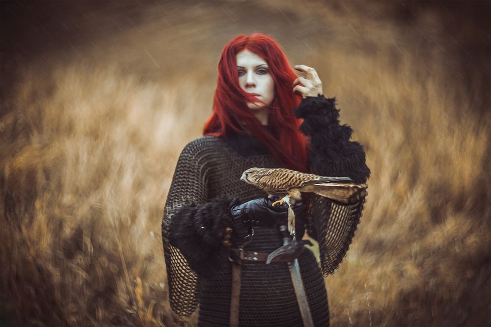 falconry_by_elena_neriumoleander-d81iazx.jpg