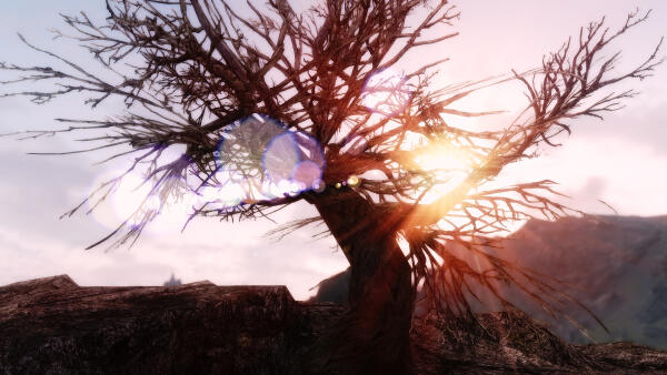 Skyrim Landscape