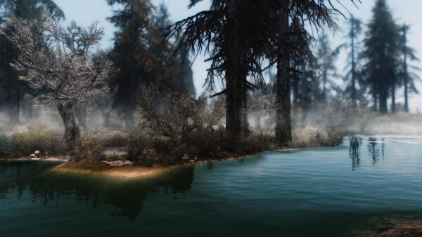 Landscape