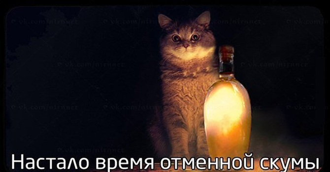 14005032411312.jpg