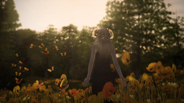 Flower Field