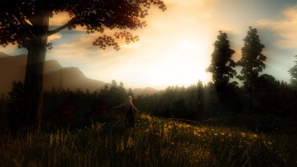 Golden Morning
