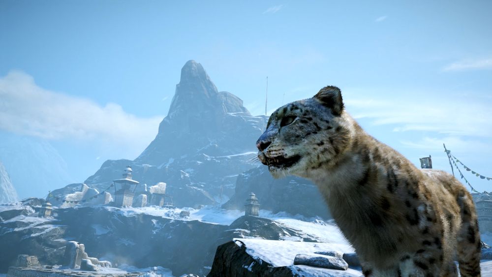 2622926-snowcatz.jpg