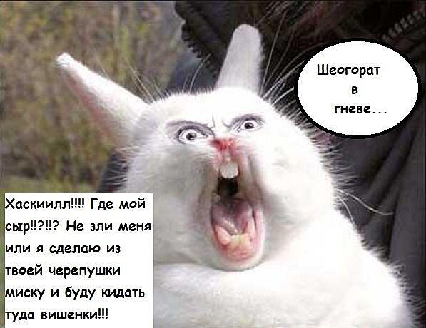 сам себя ваббаджекнул))))