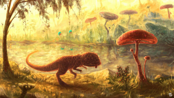 Morrowind Memories