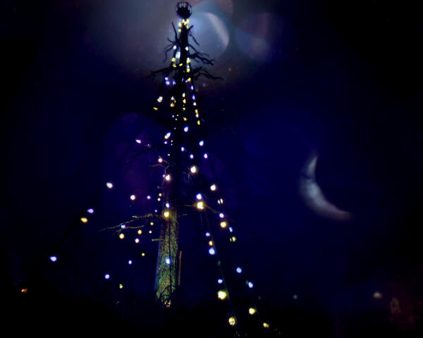 ScreenShot56
