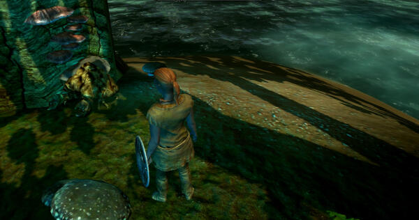 Skywind #10