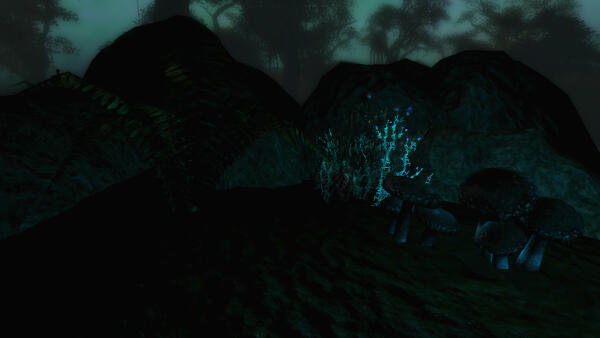 Skywind #11