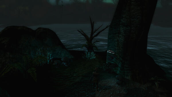 Skywind #12
