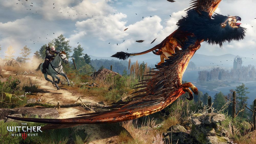 100468_6nh0fmubok_the_witcher_3_wild_hunt_you_re_j.jpg