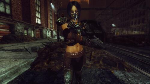 Подробнее о "Dimonized Female Body Armor Replacer"