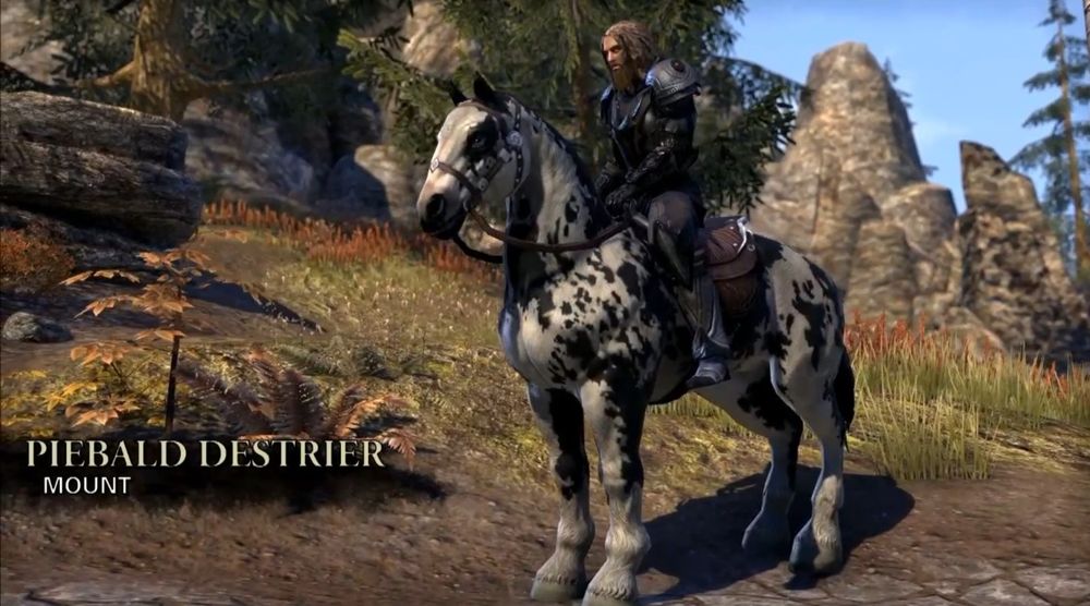 piebaldhorse.jpg